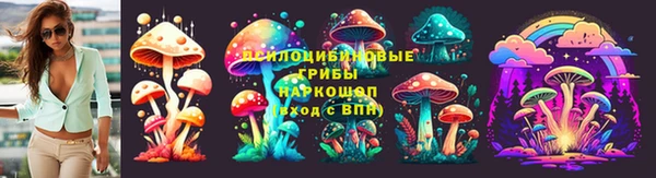 apvp Заволжск