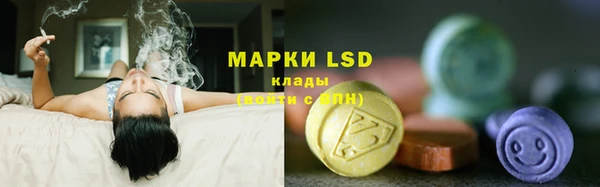 стаф Заволжье