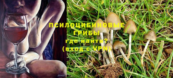 apvp Заволжск
