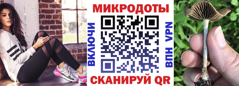 Купить  Кола  Псилоцибиновые грибы Psilocybine cubensis 