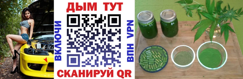 Бошки Шишки гибрид  Купить  Кола 